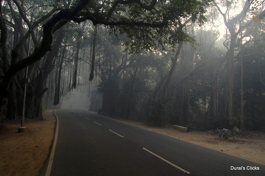 IIT Chennai - Chennai Marathon